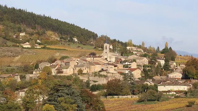 Photo de La Roche-Vineuse