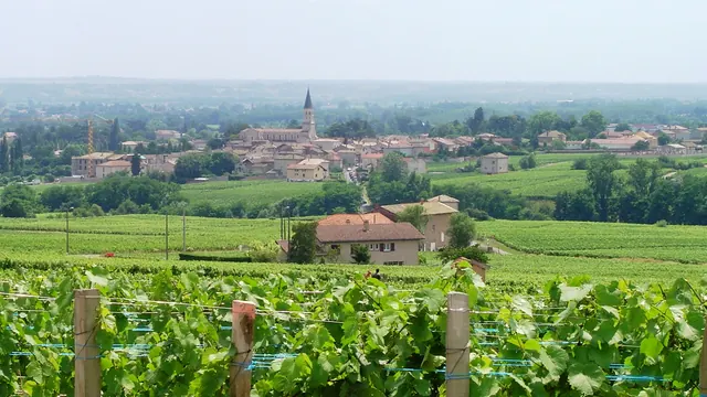 Photo de Romanèche-Thorins