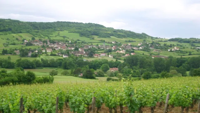 Photo de Saint-Denis-de-Vaux