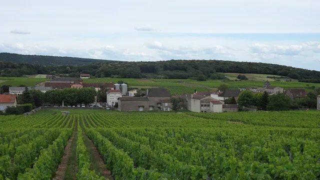 Photo de Saint-Gengoux-de-Scissé