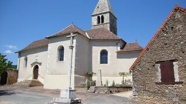 Photo de Saules