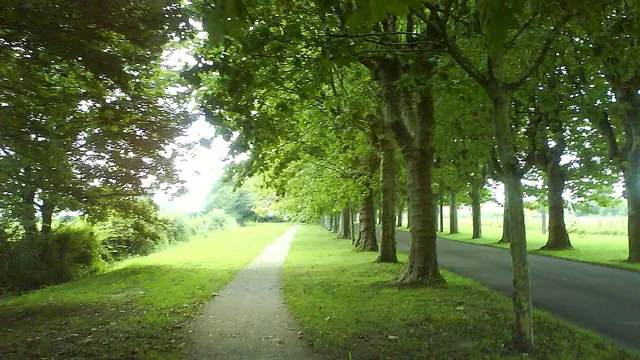 Photo de Varennes-le-Grand