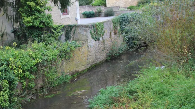 Photo de Crannes-en-Champagne