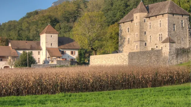 Photo de Ruffieux