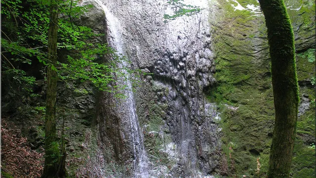 Photo de Brenthonne