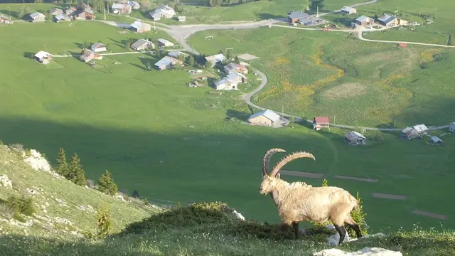 Photo de Brizon