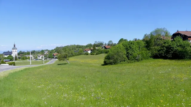 Photo de Thollon-les-Mémises