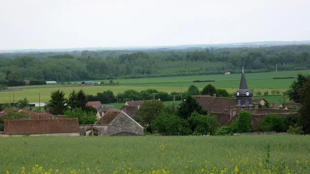Photo de Luisetaines