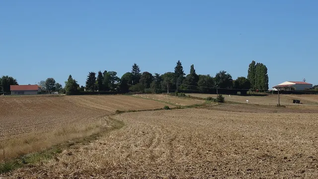 Photo de Le Tertre-Saint-Denis