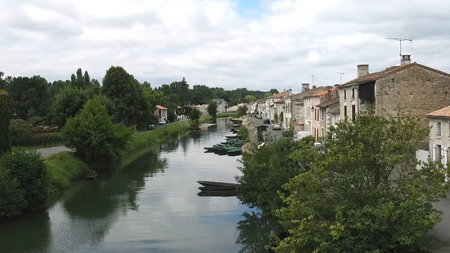 Photo de Coulon