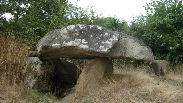 Photo de Le Pin