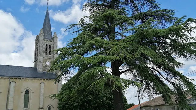 Photo de Sansais