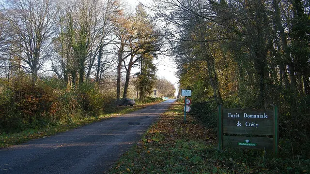 Photo de Forest-Montiers