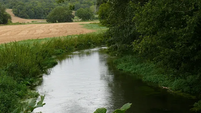Photo de La Neuville-Sire-Bernard