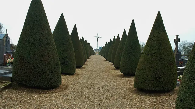 Photo de Vignacourt