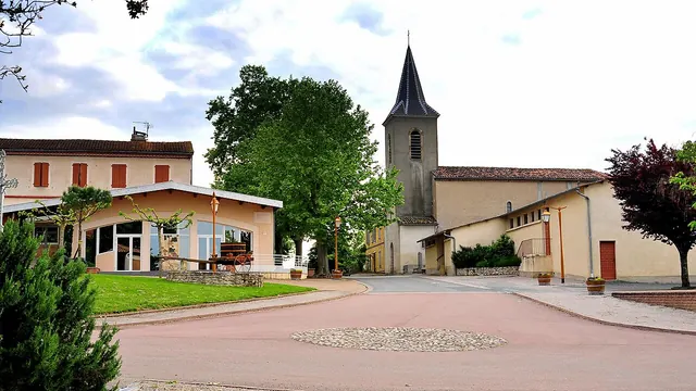 Photo de Fénols