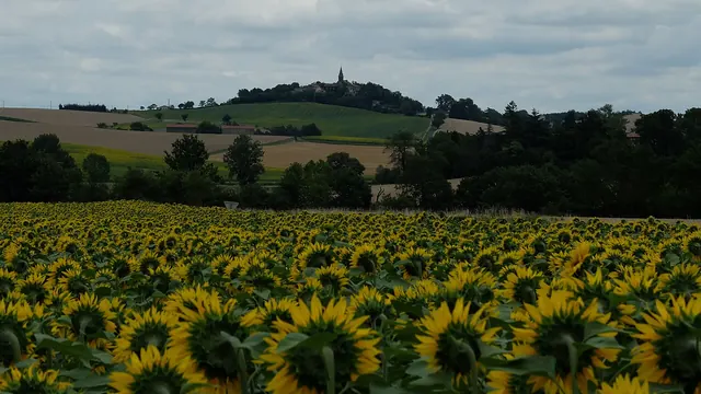 Photo de Teyssode