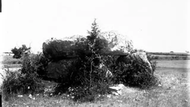 Photo de Le Verdier