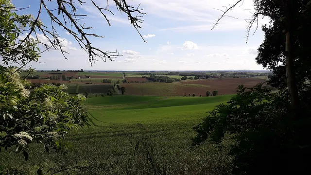 Photo de Le Causé