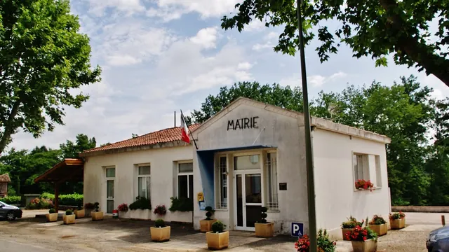 Photo de Merles