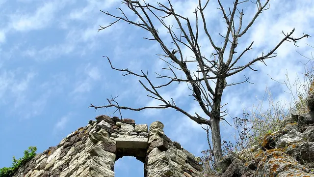 Photo de Évenos
