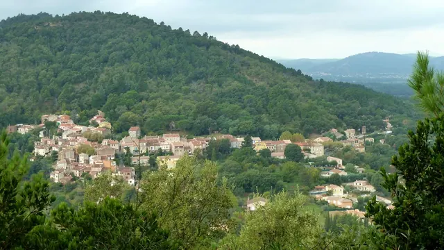 Photo de Les Mayons