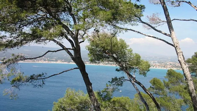 Photo de Saint-Cyr-sur-Mer