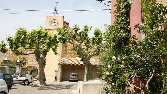Photo de Buisson