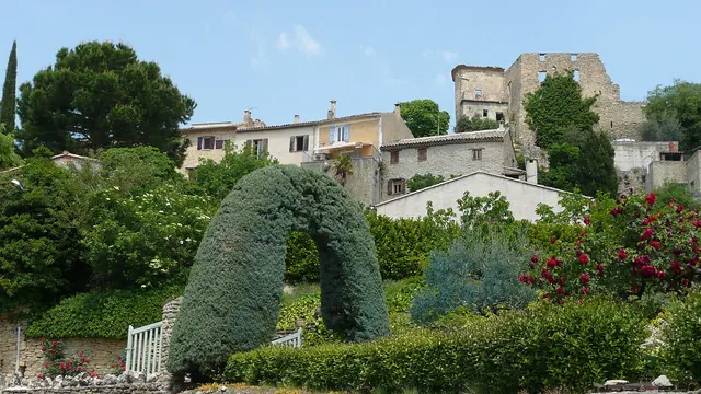 Photo de Faucon