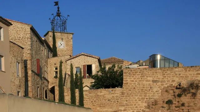 Photo de Grillon