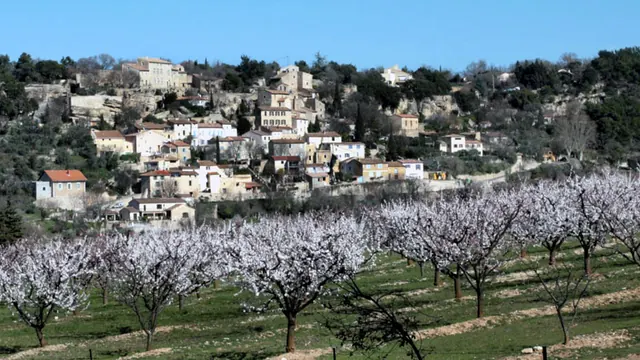 Photo de La Roque-sur-Pernes