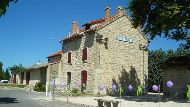 Photo de Violès