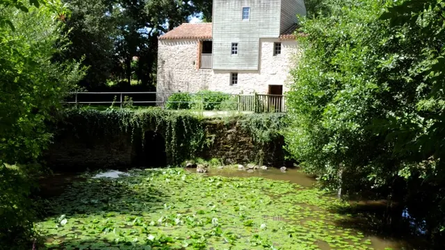 Photo de Nesmy
