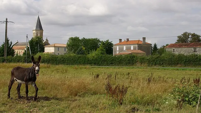 Photo de Saint-Pierre-le-Vieux