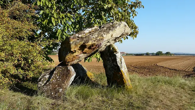 Photo de Champigny en Rochereau