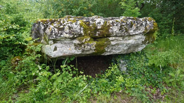 Photo de Roches-Prémarie-Andillé