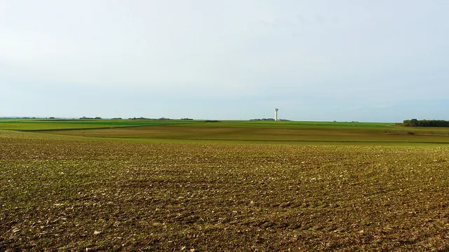 Photo de Saint-Jean-de-Sauves