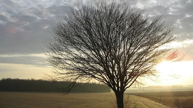 Photo de Varennes