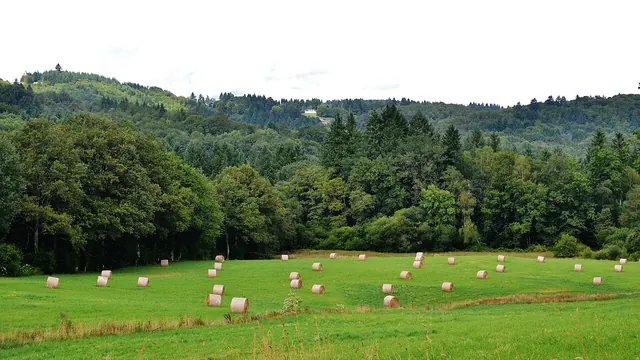 Photo de Bonnac-la-Côte