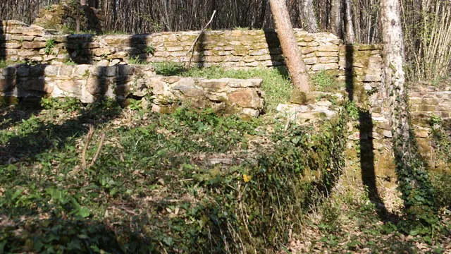 Photo de La Chapelle-Montbrandeix