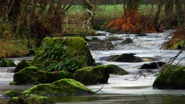 Photo de Droux