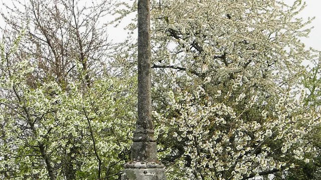 Photo de Laurière
