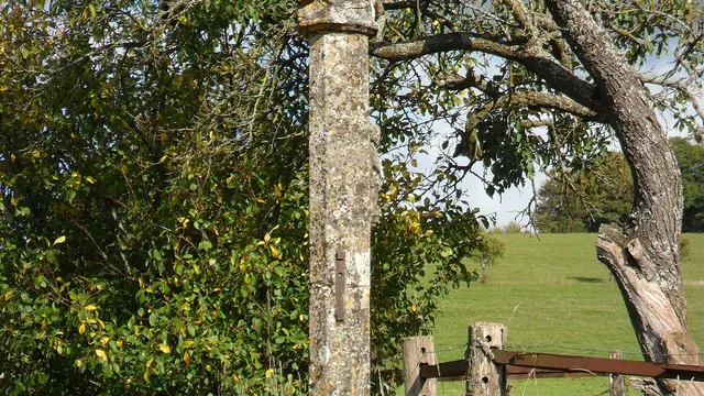 Photo de Courcelles-sous-Châtenois