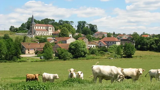 Photo de Grandvillers
