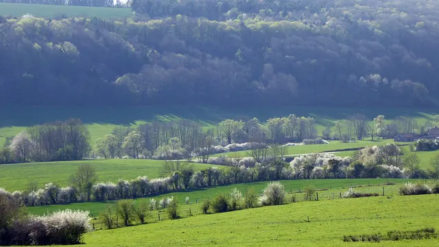 Photo de Landaville