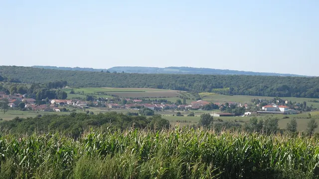 Photo de Mandres-sur-Vair