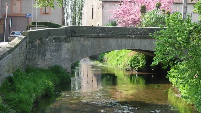 Photo de Ménil-sur-Belvitte