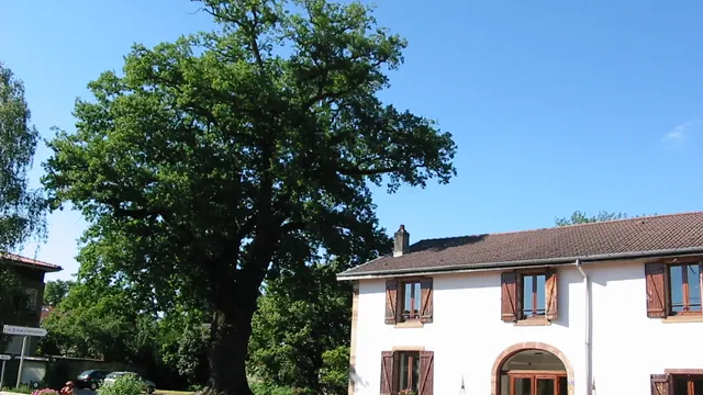 Photo de Roville-aux-Chênes