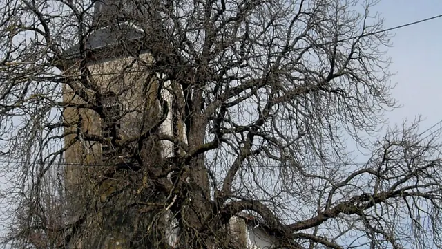 Photo de Villoncourt