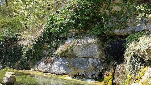Photo de Villouxel